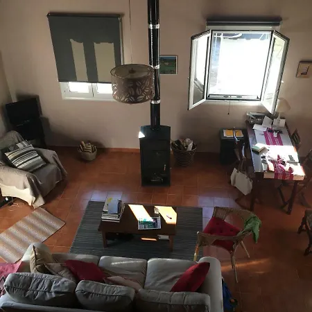 Cozy Archea Pissa